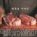 대세박목살신정네거리역점