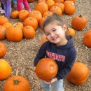 (주)엠마 이미지