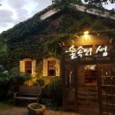 숲속의 섬 이미지