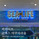 우림미디어 | &lt; 씨라이프 코엑스 아쿠아리움 &gt; 서울 실내 데이트, 서울 아이들과 함께 하기 좋은 곳, 내돈내산 솔직후기