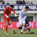 종합운동장 잔디그라운드 이미지