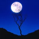 Vaga luna, che inargenti (Bellini) 이미지