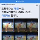 평촌 탑 골프연습장 네이버블로그