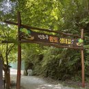 제9차 전북 장수 덕산계곡 트레킹(9월5일) 이미지
