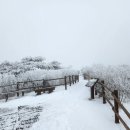 김경수님 눈꽃편지 이미지