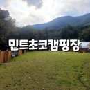 울타리천국 이미지