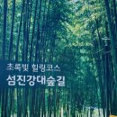 섬진강대나무숲길 이미지