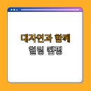 나드리야영장 이미지
