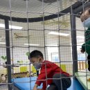 천전동 장난감은행 이미지