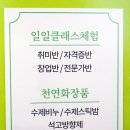 이노센트INNOSCENT 이미지