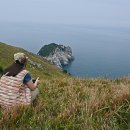 매물도바다민박 매일경제