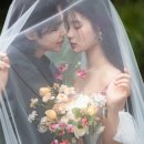 스튜디오로이 | 서울웨딩촬영 알아보다 다녀온 강남웨딩스튜디오 로이스튜디오 솔직 방문 후기