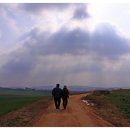 새봄목장 이미지