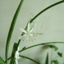 참사랑안경 이미지