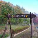 솔터힐링 숲체험원 이미지