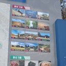 용봉산산림전시관 네이버블로그