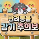 BB 동물병원 이미지