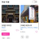 호연나무