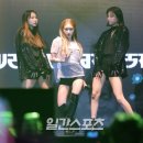 청하체육관 이미지