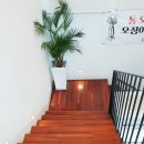 대박이손칼국수 이미지