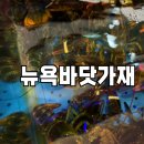 뉴욕바닷가재청담점 | [뉴욕바닷가재 부천상동점] 기념일에 부모님과 다녀온 랍스터 맛집(주차, 솔직후기)