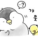 고성군종합운동장 축구장 이미지