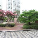 한화공인중개사사무소 이미지