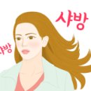 살롱드 하유