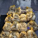 남항. 드림피싱 이미지