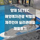 양재 SETEC 해양레저관광 박람회 제주인어 실리콘테일 체험후기