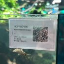 카페&사람 | 일산 수족관 카페 아쿠아리움 환장하는 사람의 아쿠아가든 일산 후기