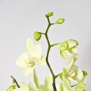 대구시종합복지회관 이미지