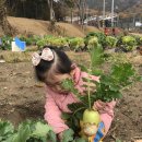 연후농장 이미지