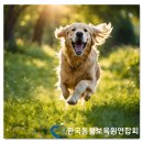 목련로21번길 이미지