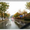 청주가로수길 이미지