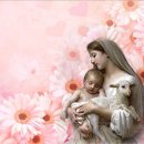 참약사인생약국 이미지