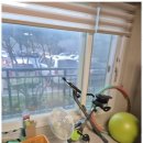 지산19길-1 | 구미용달이사 남편익스프레스와 함께한 상처없는 포장이사 후기