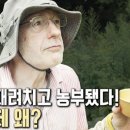 시골살이 이미지