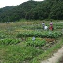 분토농장 이미지