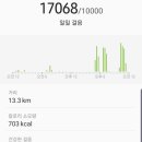 꼬꼬하우스 이미지