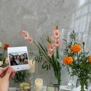 일남농장 | [10월 셋째주] ::14개월 설아와의 일상기록(키즈카페 두번방문/육종지/하하농장/결혼식 방문)