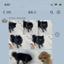 하이댕스 이미지