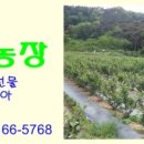 입암농장 이미지