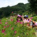 (주)청마루 이미지