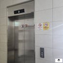 울산 매곡동 속눈썹 꼼꼼한영이씨뷰티 북구 속눈썹연장 C컬 12mm 벨뱃모