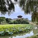 (주)화평디자인 | 가을밤 수놓는 낭만 가득 미디어 축제, 수원화성 미디어아트