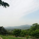 용인자연휴양림 이미지