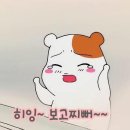 196 이미지