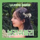 결혼준비 #23 - 내돈내산 웨딩촬영 출장 헤어변형 [브러쉬블리] 추천합니다!