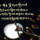 살구꽃핀마을은 이미지